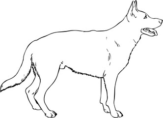 GERMAN SHEPHERD DOG LINE ART