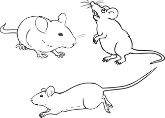 MOUSE LINEART