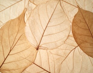 押し葉を閉じ込めたヴィンテージ紙テクスチャ