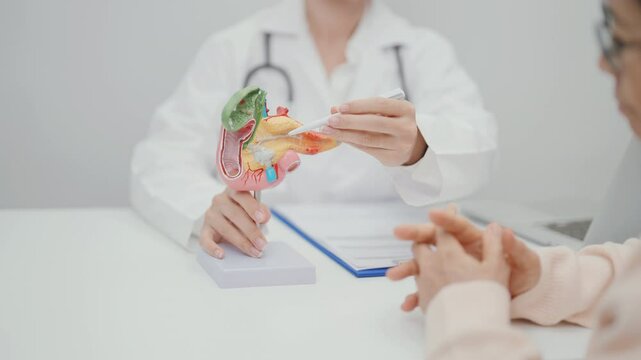 Elderly Patient consultation with doctor for Pancreas, Gallbladder, Bile Duct, Duodenum, Small intestine. Pancreatic cancer, Acute and Chronic pancreatitis, Digestive system and medical healthcare