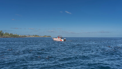 Obraz premium A tourist motorboat in the blue ocean. People are snorkeling, watching dolphins. The backs and dorsal fins are visible above the water. The coast of the island is far away. Azure sky, clouds.Mauritius