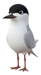 Animated seabird with black cap stands alert