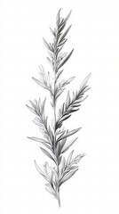 Fototapeta premium Monochromatic Leafy Branch Illustration with Botanical Composition