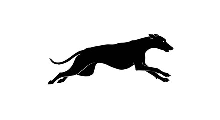 Fototapeta premium Silhouette of a sleek powerful dog leaping forward with focused determination
