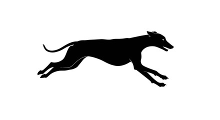 Obraz premium Silhouetted Running Greyhound in Dynamic Action