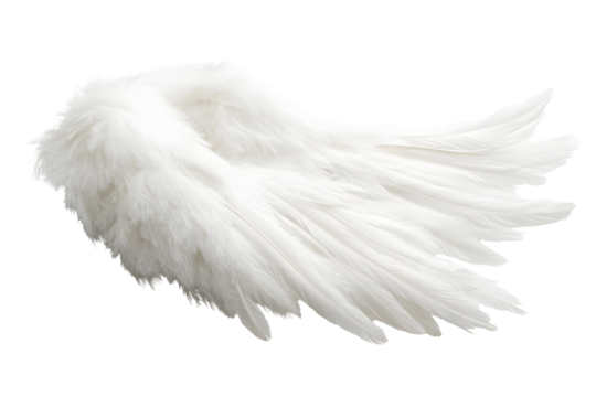 Majestic White Wing Isolated on Black Background, Symbolizing Freedom and Purity