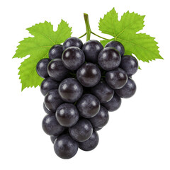 Fototapeta premium bunch of grapes