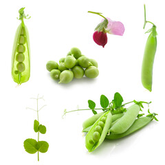green pea pods isolated on a white background