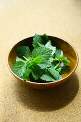 harvesting of lemon balm leaves to make a relaxation herb tea