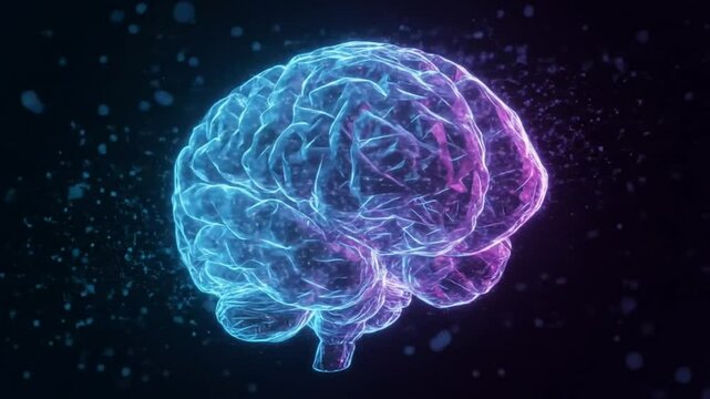 human ai brain x ray blue transparent