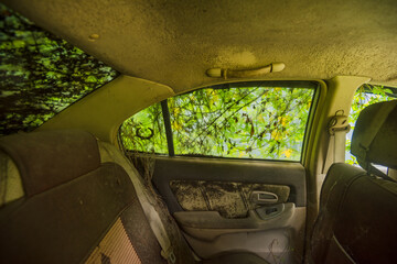 The interior of an abandoned vehicle surrounded by greenery