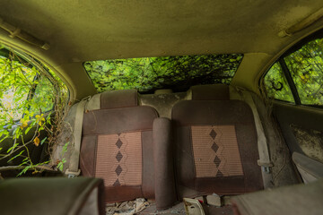 The interior of an abandoned vehicle surrounded by greenery