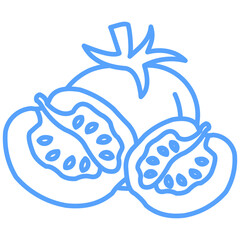tomato icon blue
