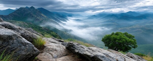 Fototapeta premium Blowing in the wind with sunrise over foggy meadow hill concept. A serene mountain landscape with fog and rocky terrain.
