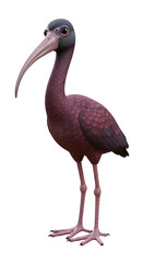 Obraz premium Elegant auburn ibis stands tall