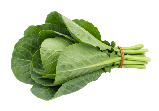 透明な背景に分離された有機的な緑の葉野菜の束のクローズアップの静止画