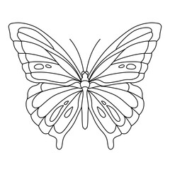 butterfly vector illustration