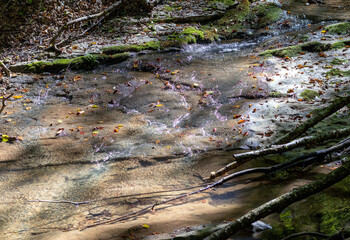autumn hike to the sources of a mountain river along the riverbed and canyon through difficult wilderness areas
