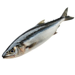 Fototapeta premium Freshly caught silver fish shimmering with the promise of a delicious meal on transparent background
