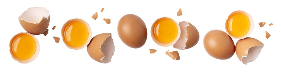 collection of raw chicken eggs on white background with clipping path, top view