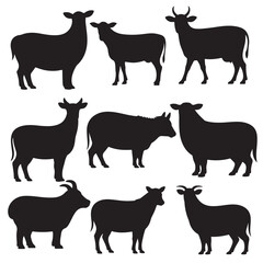 Vector Cow Animals  on Black and White
