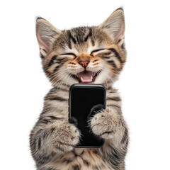 realistic 4K photo of cat happily holding a phone

