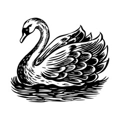 A drawing style icon of a swan floating peacefully
