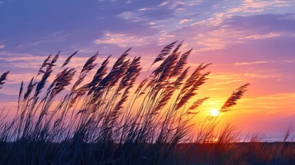 Blowing in the wind with foliage over morning meadow concept. Golden rays of sunset illuminate tall grasses in a serene landscape.