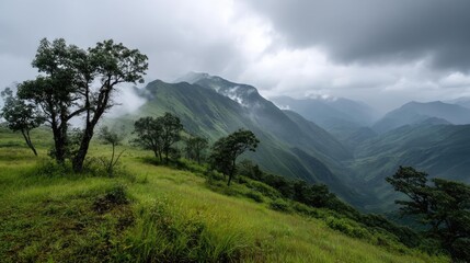 Blowing in the wind with sunrise over foggy meadow hill concept. Dramatic mountain landscape under a cloudy sky in lush greenery.