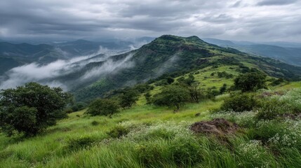 Blowing in the wind with sunrise over foggy meadow hill concept. Beautiful green hills under a dramatic cloudy sky.
