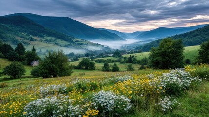 Blowing in the wind with dandelion under cloudy morning concept. A serene valley landscape with lush green fields and wildflowers.