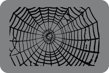 Obraz premium Abstract Black and Grey Spiderweb Design Element for Halloween or Nature Themes