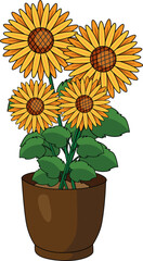 Obraz premium Sunflower Plant In Pot Front View Vector