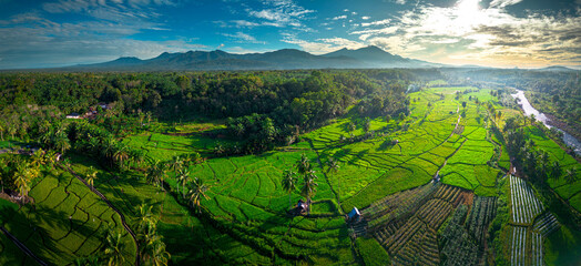 beautiful morning view panorama of indonesia agriculture industry rice fields with beautiful sky colors natural light