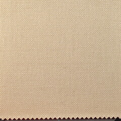 Beige Woven Fabric Surface Closeup Detailed Texture Soft Color. Textile