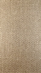 Beige Woven Fabric Surface Closeup Detailed Texture Soft Color. Textile