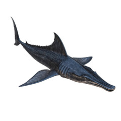 Fototapeta premium An Ichthyosaur gracefully glides through the ancient ocean depths in a on transparent background