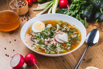 Kvass okroshka with radishes and herbs