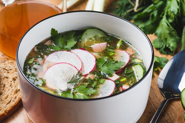 Kvass okroshka with radishes and herbs