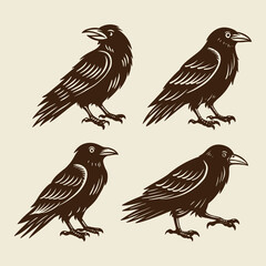 Fototapeta premium Vintage Raven Vector Set, Hand Drawn Crow Illustration Silhouettes