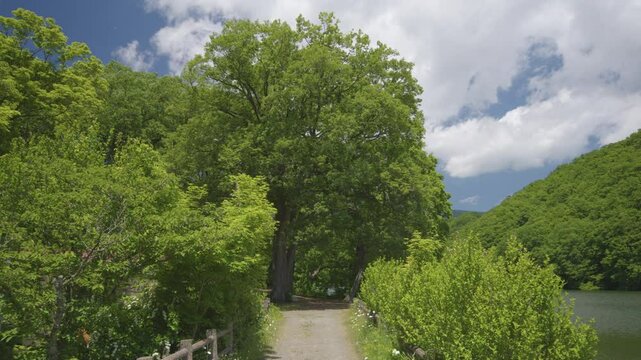 宮城県七ヶ宿町 長老湖の風景 Scenery of Lake Choro in Shichikashuku Town, Miyagi Prefecture