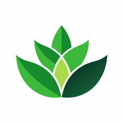 Green Leaf Icon