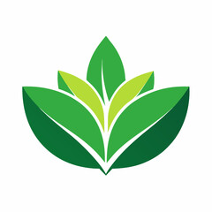 Green Leaf Icon