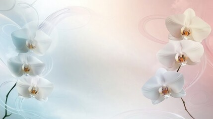 Obraz premium Elegant White Orchids on Pastel Background with Subtle Swirls, Creating a Tranquil and Serene Floral Design