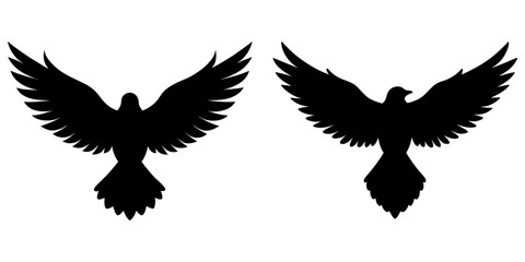 Obraz premium Black bird silhouette, wings spread wide