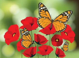 Monarch Butterflies on Vibrant Red Poppies