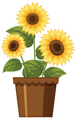 Vibrant Sunflowers in a Brown Pot Illustration