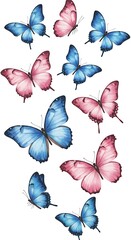 Pink & Blue Flutter