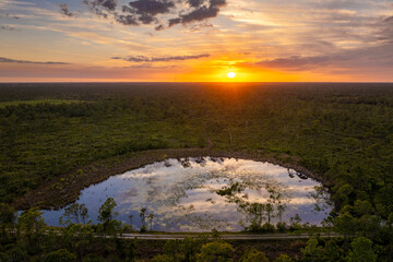 Sunset landscape in wetland forest. Beautiful lake nature in evening