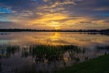 Obraz premium Sunset over lake water in southern tropical wetlands. Amazing Florida nature